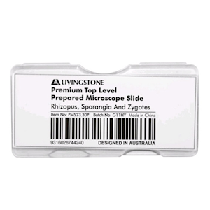Livingstone Premium Top Level Prepared Slide, Rhizopus, Sporangia And Zygotes, Each Each