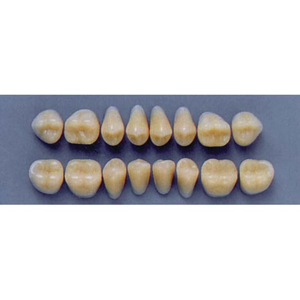ULTRADENT POST 30L/77 LOWER (1x8 CARD) Card