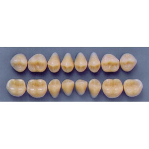 ULTRADENT POST 34M/81 UPPER (1x8 CARD) Card