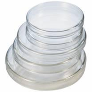 Livingstone Petri Dish