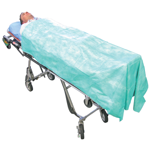 Disposable Blanket, Green, 9 Ply, 190cm x 110cm, 50/Ctn Carton