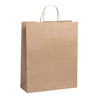 Livingstone Paper Carry Bags, A4, 350(L) x 260(W) mm, Brown, 250 Pieces/Carton Carton