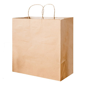 Earth Essentials Paper Carry Bags, 174(L) x 302(W) x 305(H) mm, Large, Brown, 250 Pieces/Carton Carton