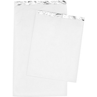 Foil and Paper Chicken Bag, Small, Biodegradable, 250/Carton Carton