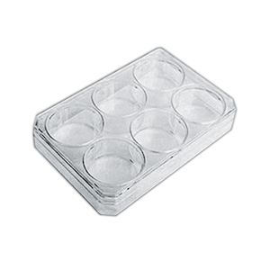 Nunc Cell-Culture Treated Multidishes Sterile