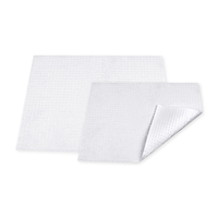 Livingstone Dental Bibs