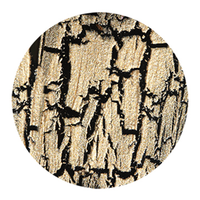 China Glaze Crackle Tarnished Gold (metal) Polish, Ea Each