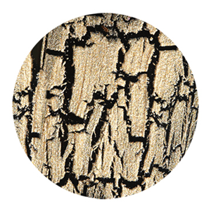 China Glaze Crackle Tarnished Gold (metal) Polish, Ea Each