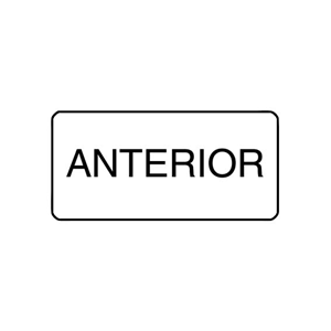 X-Ray Label 500/Box