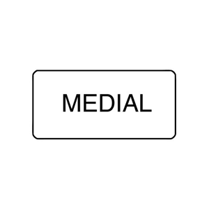 X-Ray Label 500/Box