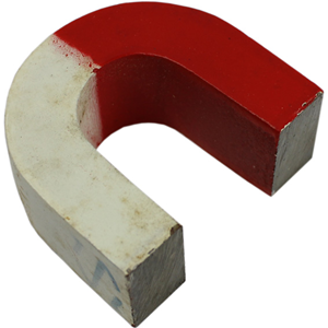 Livingstone U-shaped Horseshoe Magnet