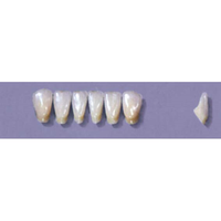 MYERSON ANTERIORS #12/69 (1x6 CARD) Card