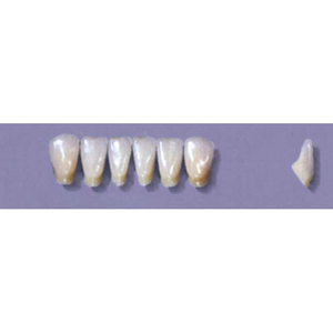 MYERSON ANTERIORS #12/69 (1x6 CARD) Card