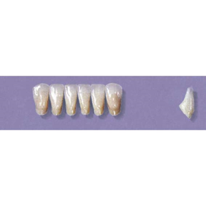 MYERSON ANTERIORS #3/C (1x6 CARD) Card