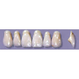 Myerson Anteriors #A11/70 (1 x 6 Card), Each