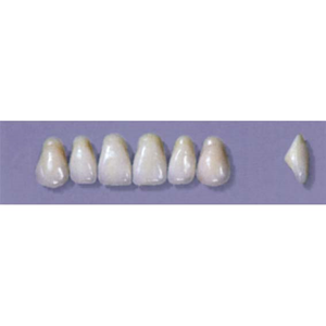 MYERSON ANTERIORS #A2/C (1X6 CARD) Card