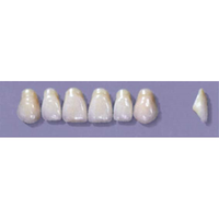 MYERSON ANTERIORS #A43/69 (1x6CARD) Card