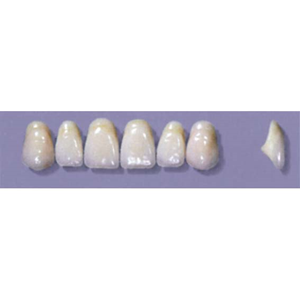 MYERSON ANTERIORS #A44/73 (1x6CARD) Card