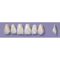 MYERSON ANTERIORS #A52/60 (1x6CARD) Card
