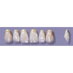 MYERSON ANTERIORS #A53/62 (1x6CARD) Card
