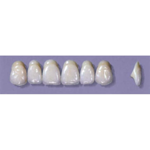 MYERSON ANTERIORS #A64/C (1x6 CARD) Card