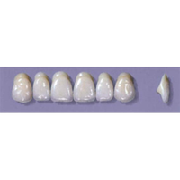 MYERSON ANTERIORS #A64/H (1x6 CARD) Card