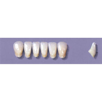 MYERSON ANTERIORS #A71/58 (1x6CARD) Card