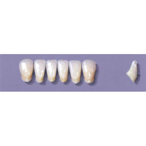MYERSON ANTERIORS #A71/F (1x6 CARD) Card