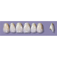 MYERSON ANTERIORS #A72/E (1x6 CARD) Card