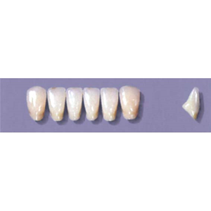 MYERSON ANTERIORS #A73/D (1x6 CARD) Card