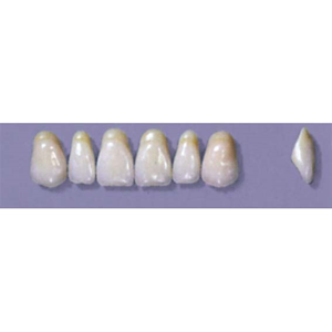 MYERSON ANTERIORS #A7/65 (1x6 CARD) Card