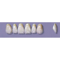 MYERSON ANTERIORS #A7/C (1x6 CARD) Card