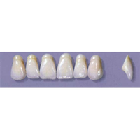 MYERSON ANTERIORS #A9/60 (1x6 CARD) Card