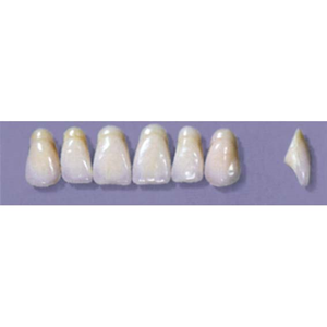 MYERSON ANTERIORS #A9/70 (1x6 CARD) Card
