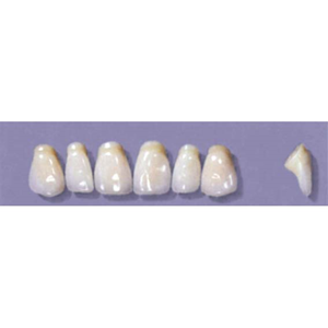 MYERSON ANTERIORS #PM4/58 (1x6CARD) Card