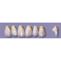MYERSON ANTERIORS #PM6/E (1x6 CARD) Card