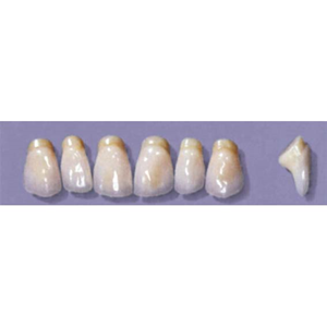 MYERSON ANTERIORS #PM6/H (1x6 CARD) Card