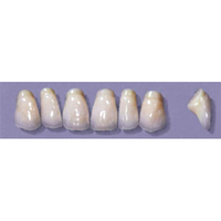 MYERSON ANTERIORS #PM8/73 (1x6CARD) Card