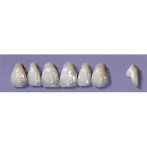 MYERSON ANTERIORS #PW2/G (1x6 CARD) Card