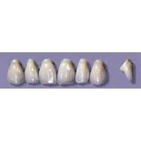 MYERSON ANTERIORS #PW4/70 (1x6CARD) Card
