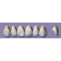 MYERSON ANTERIORS #PW4/C (1x6 CARD) Card
