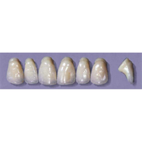 MYERSON ANTERIORS #PW6/62 (1x6CARD) Card