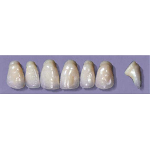MYERSON ANTERIORS #PW6/70 (1x6CARD) Card