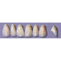 MYERSON ANTERIORS #PW8/D (1x6 CARD) Card