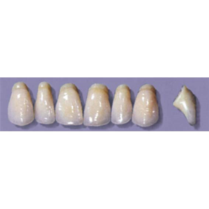 MYERSON ANTERIORS #PW8/E (1x6 CARD) Card