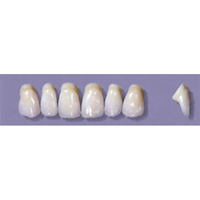 MYERSON ANTERIORS #YM5/62 (1x6CARD) Card