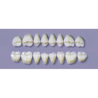 MYERSON DURA POST #28SLL/I (1x8 CARD) Card