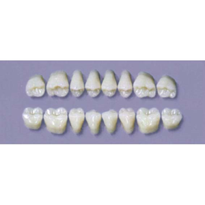 MYERSON DURA POST #28U/D (1x8 CARD) Card