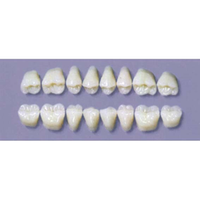 MYERSON DURA POST #30SLU/H (1x8 CARD) Card
