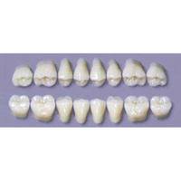 MYERSON DURA POST #32SLL/60 (1x8 CARD) Card